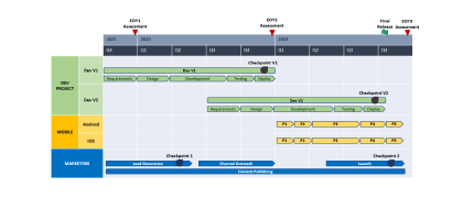 Manual PowerPoint roadmap