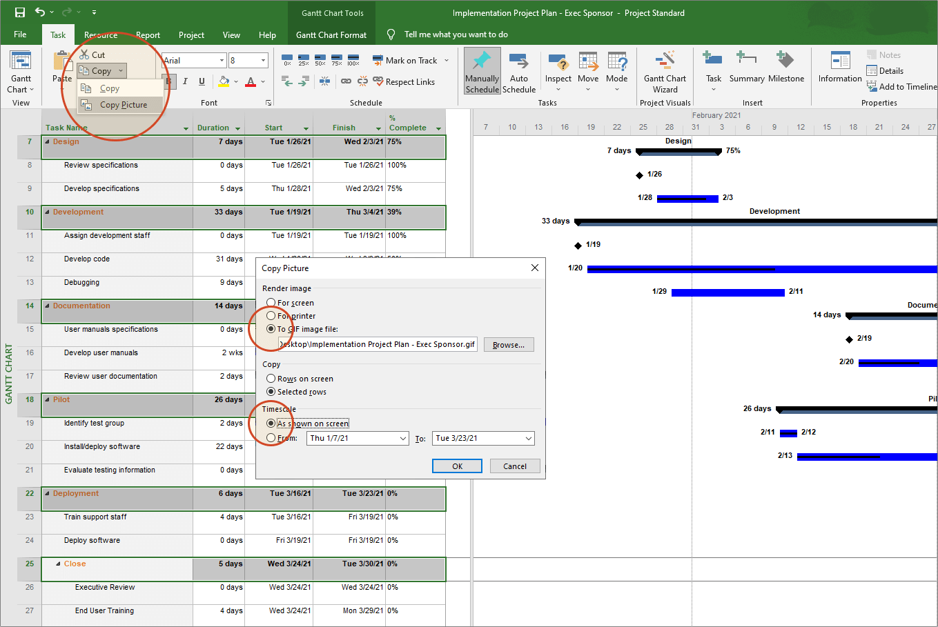 Gantt Chart Copy Picture Tool in Microsoft Project