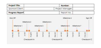 Vorlage für Projektstatusberichte für Excel