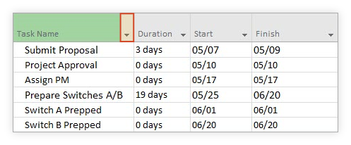 Task Name header in MS Project